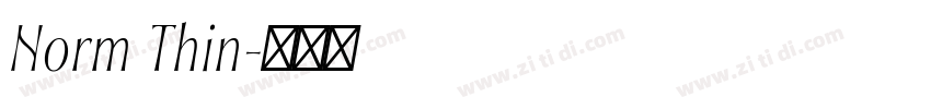 Norm Thin字体转换